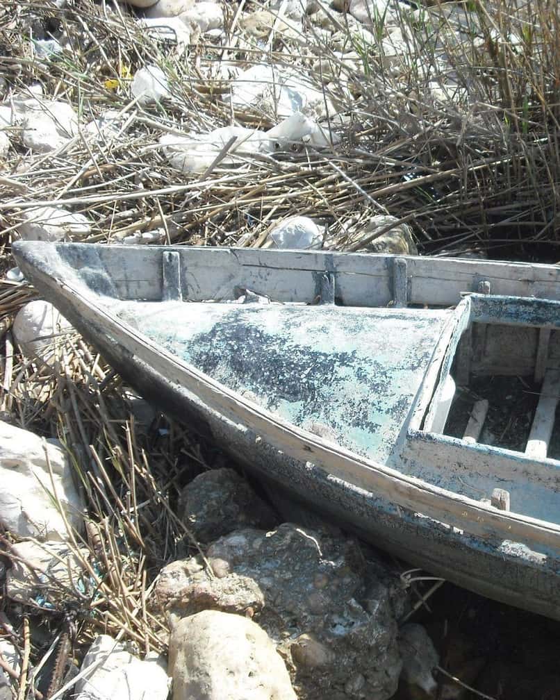 Barcas de madera amarradas en un canal de El Palmar, en la Albufera de Valencia, con arrozales y cañas a ambos lados por la tarde